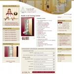 Ironing Center Ecommerce Web Design Peoria IL